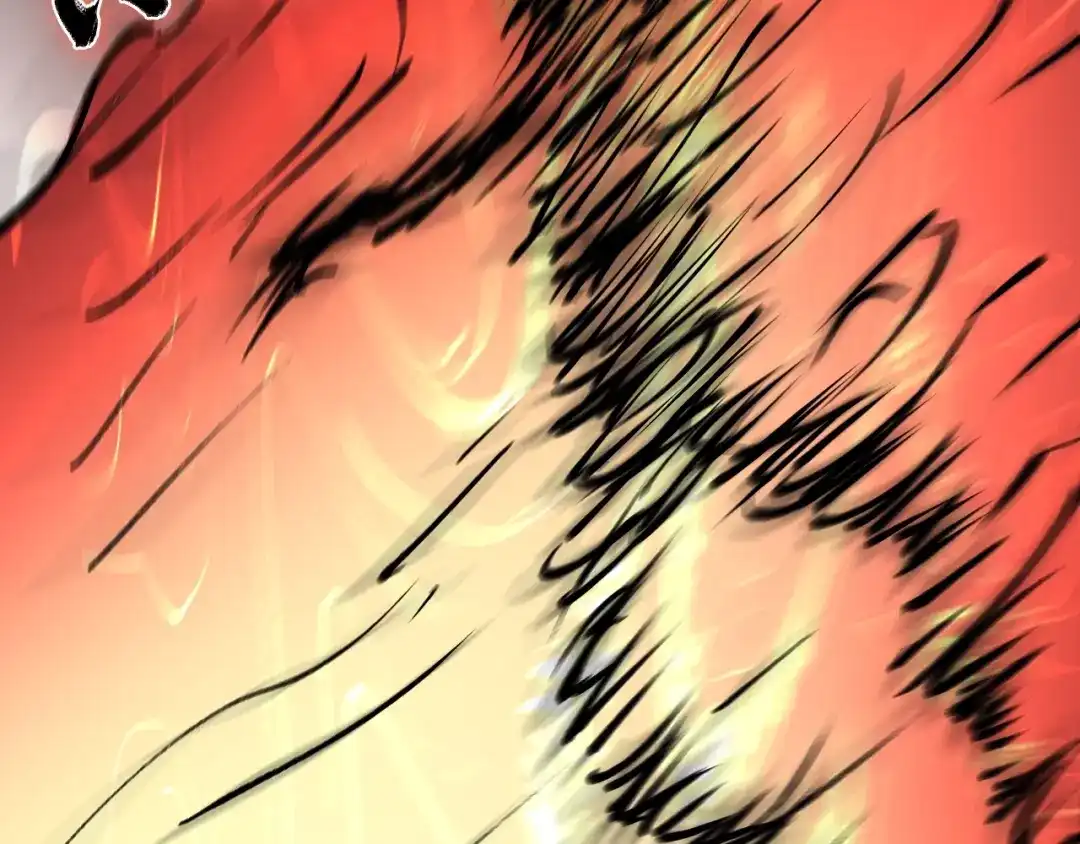 第223页