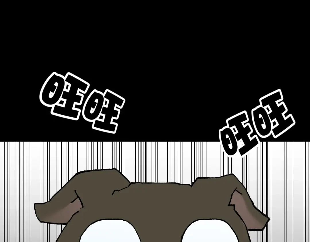 第224页