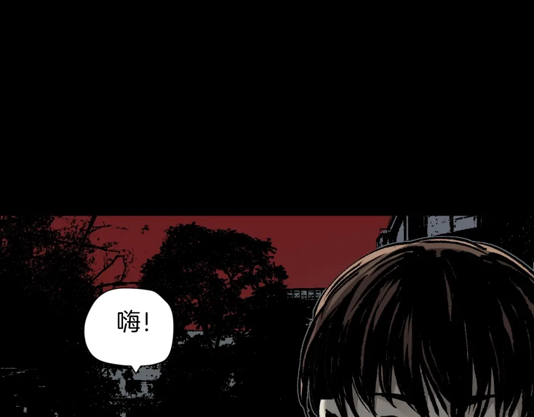 第215页