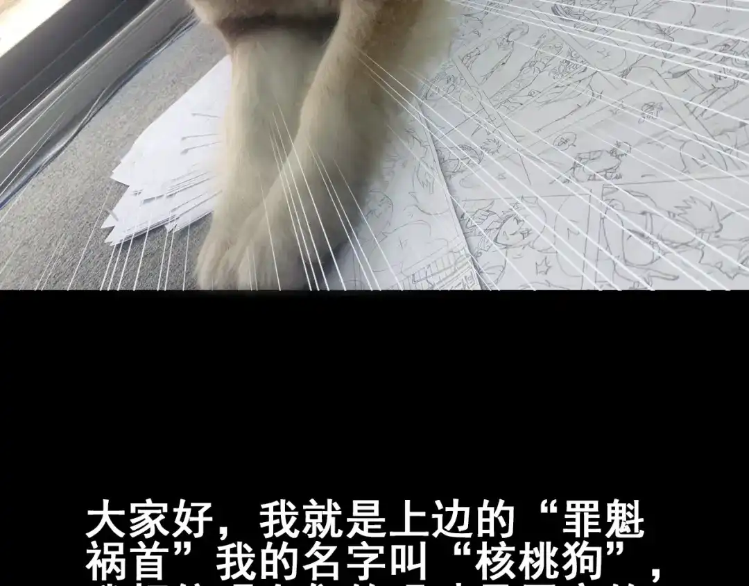 第124页