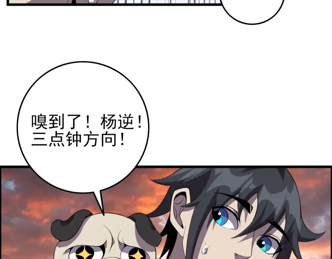 第115页