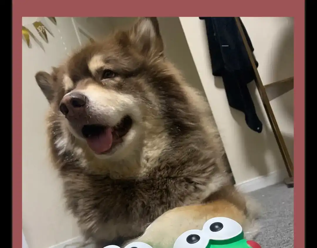 第150页
