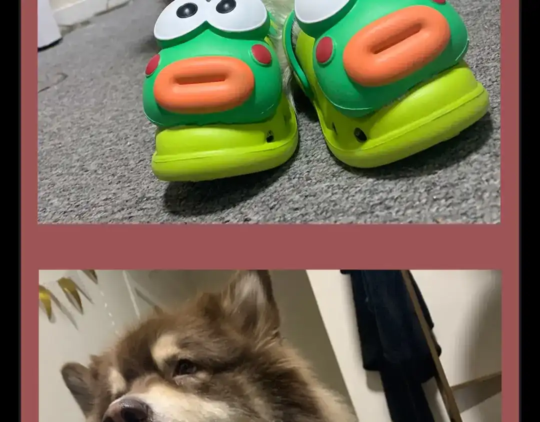 第151页
