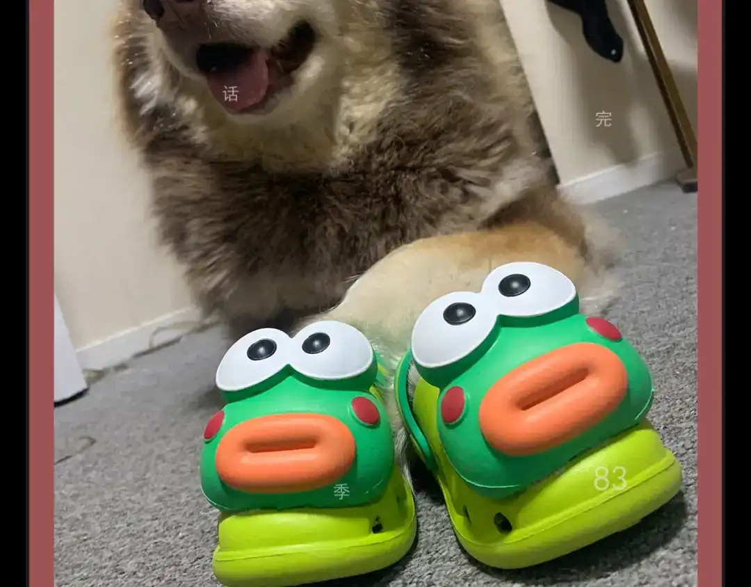 第152页