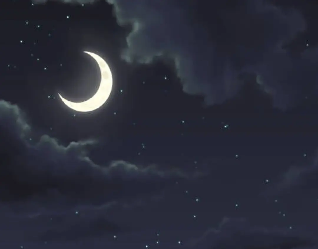第242页