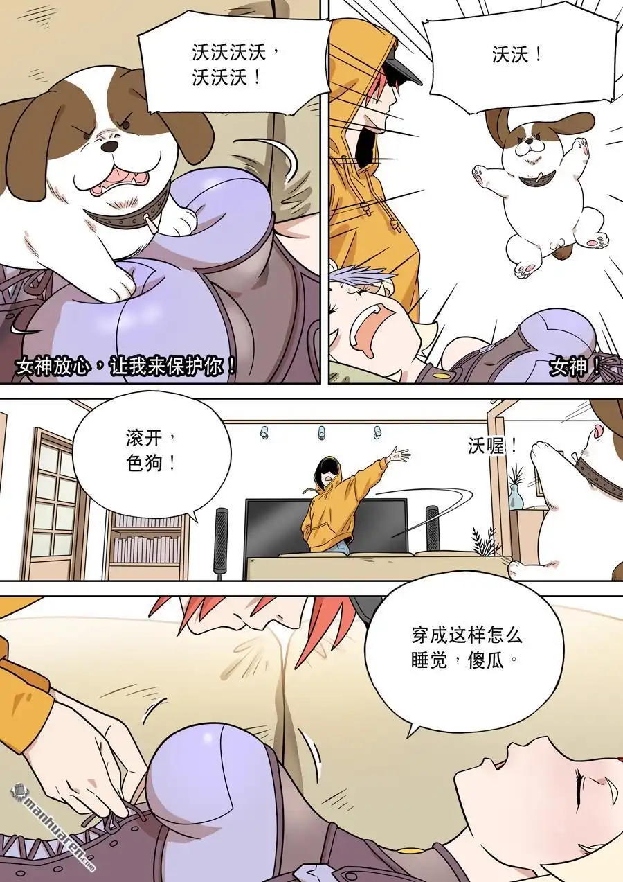 第3页