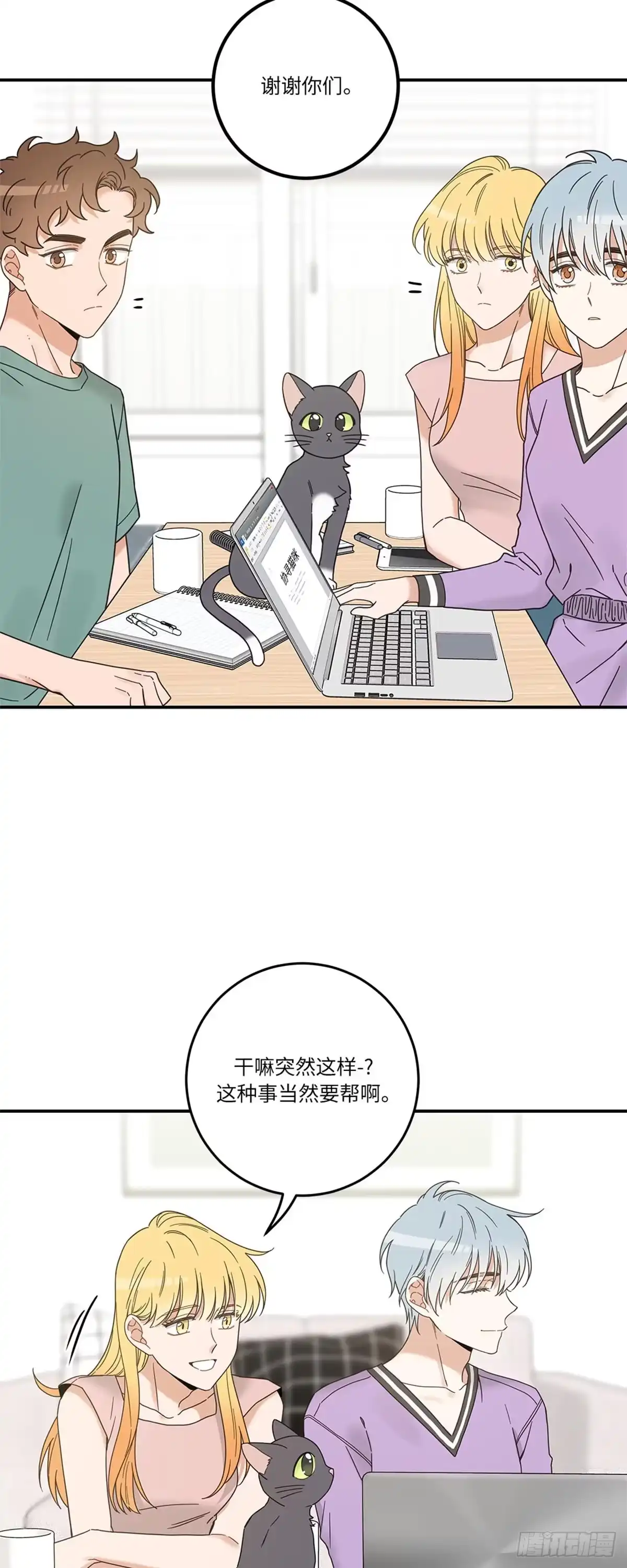 第43页