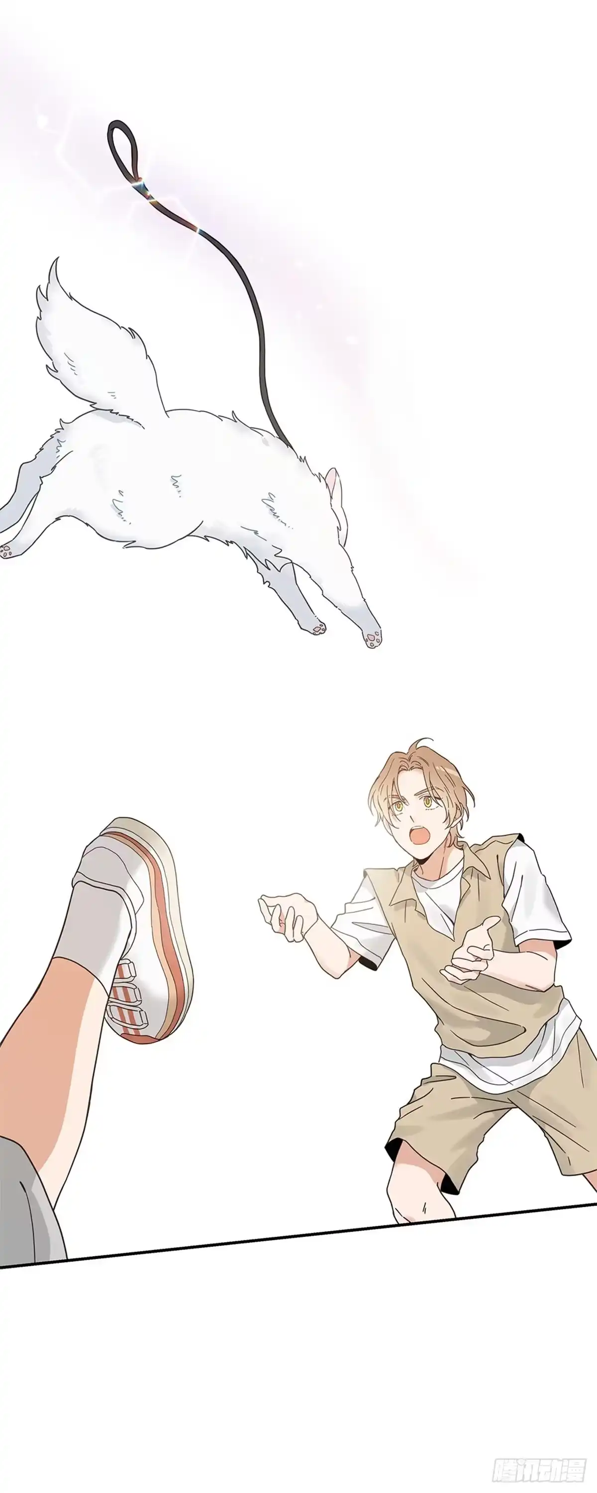 第43页