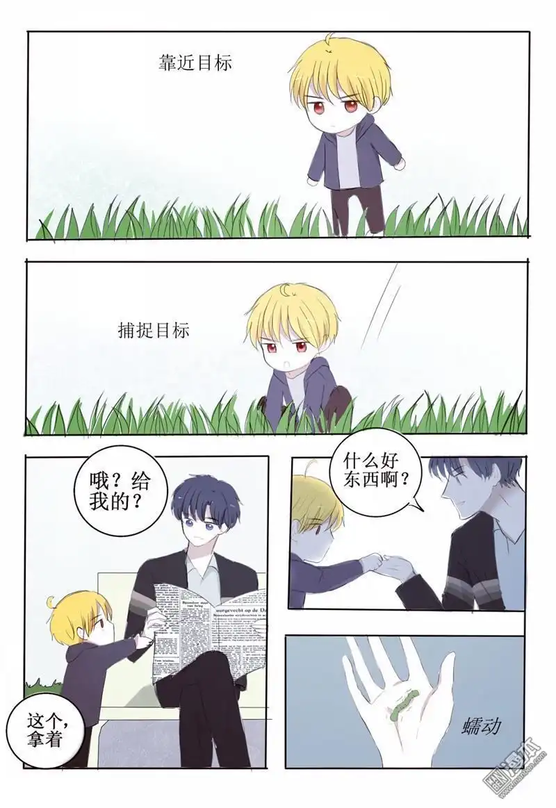 第11页