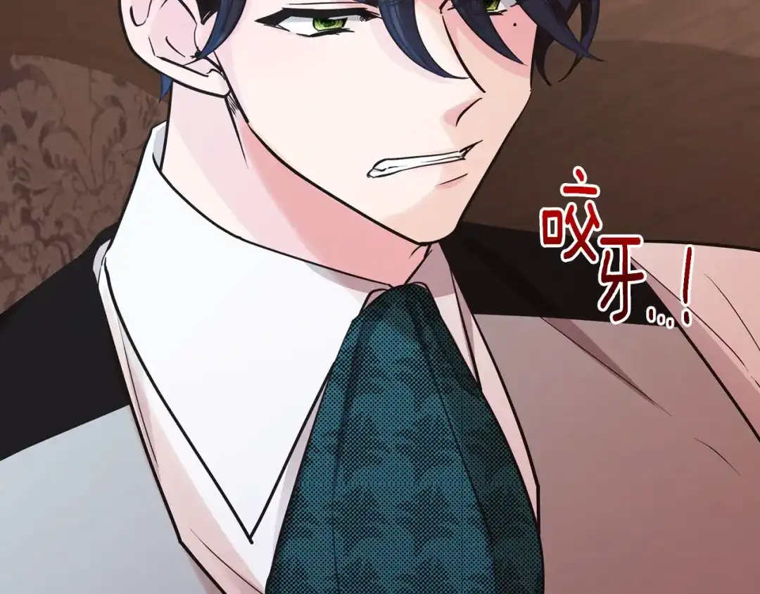 第224页