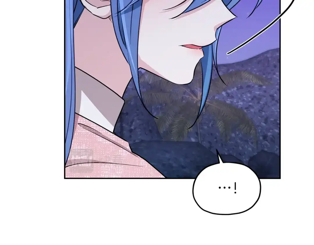 第215页