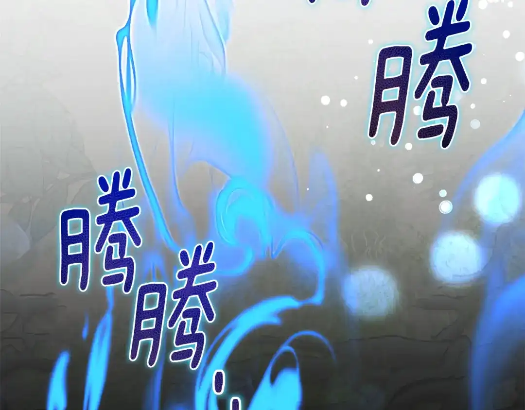 第239页