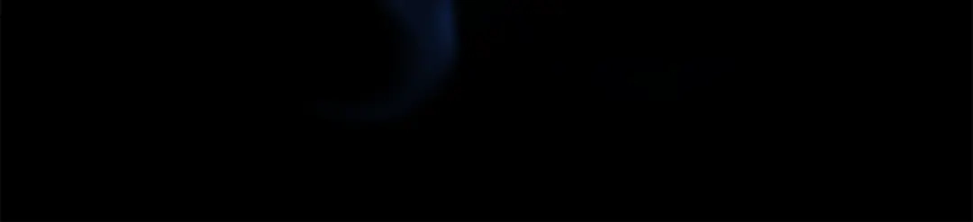 第250页