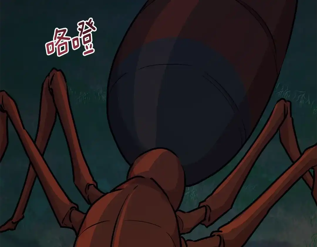 第213页