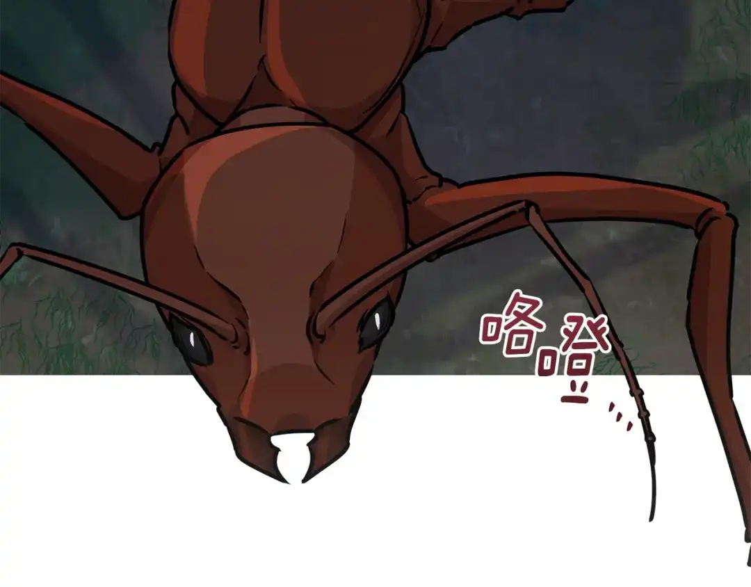 第214页