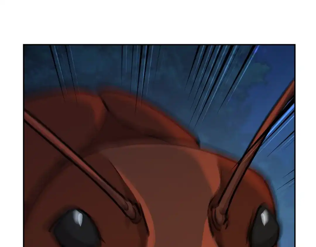 第216页