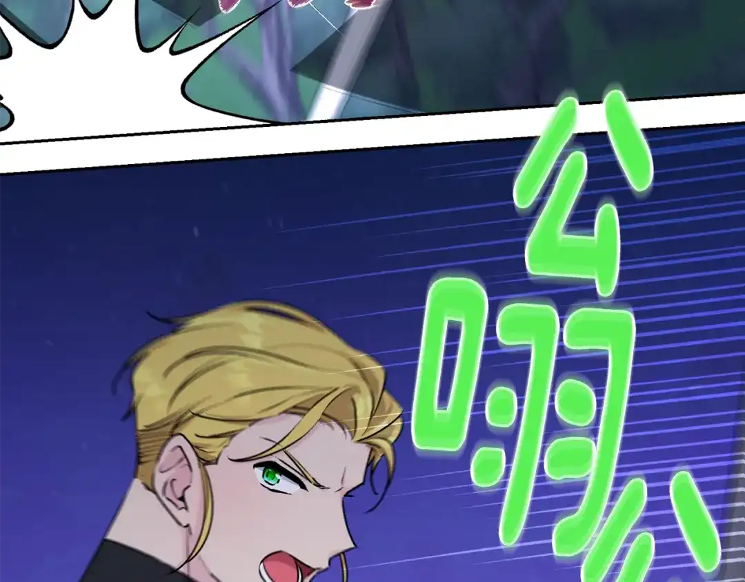 第204页