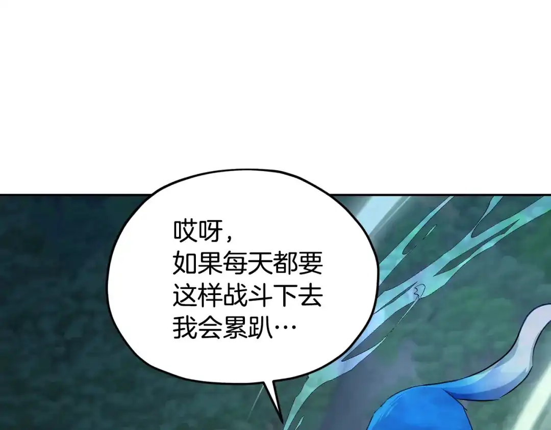 第204页