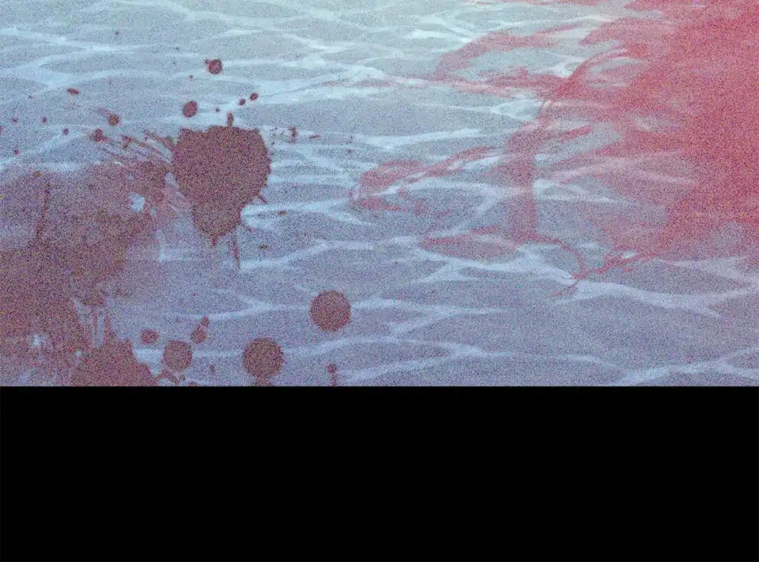 第185页
