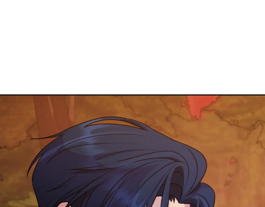 第217页