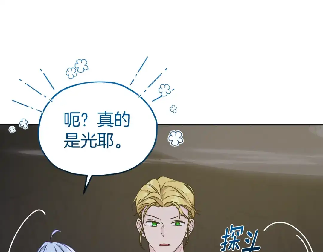 第204页