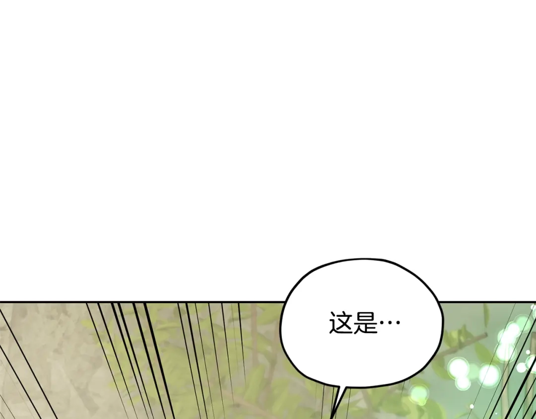 第223页
