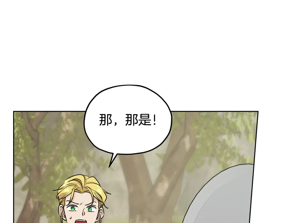 第221页