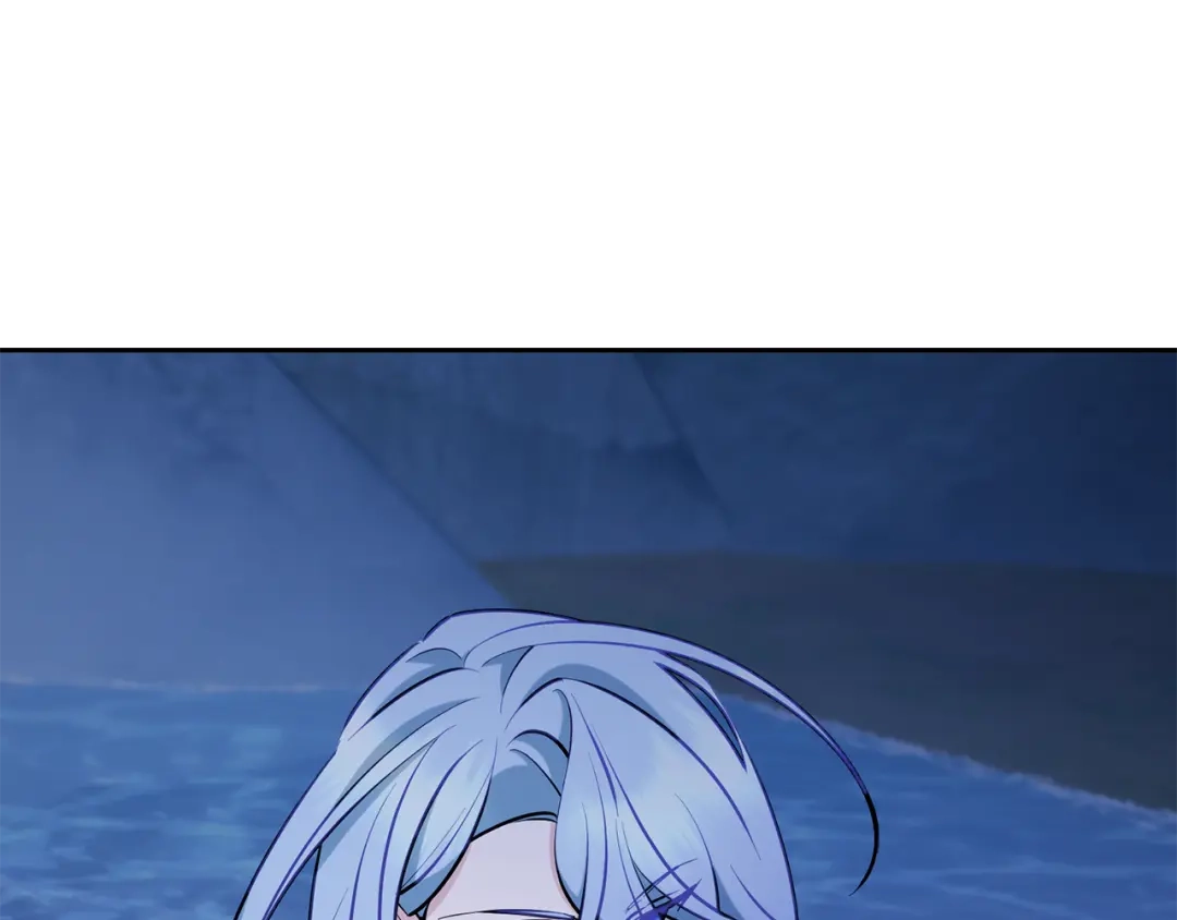 第243页