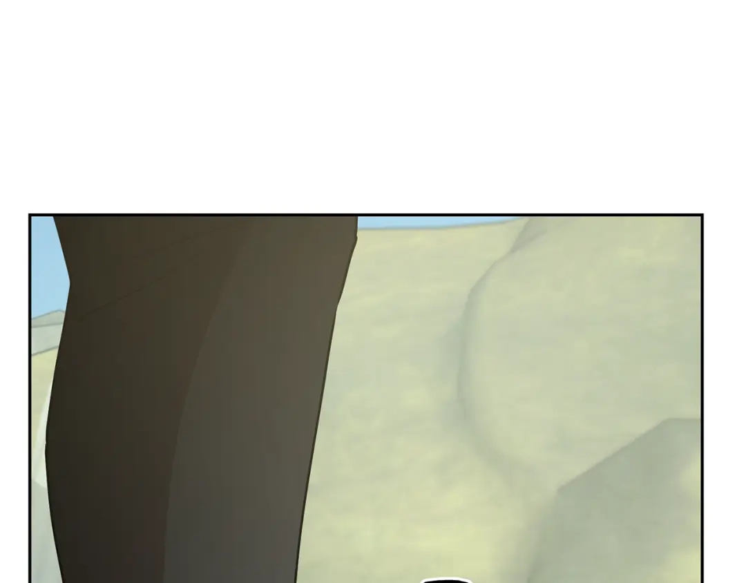 第215页