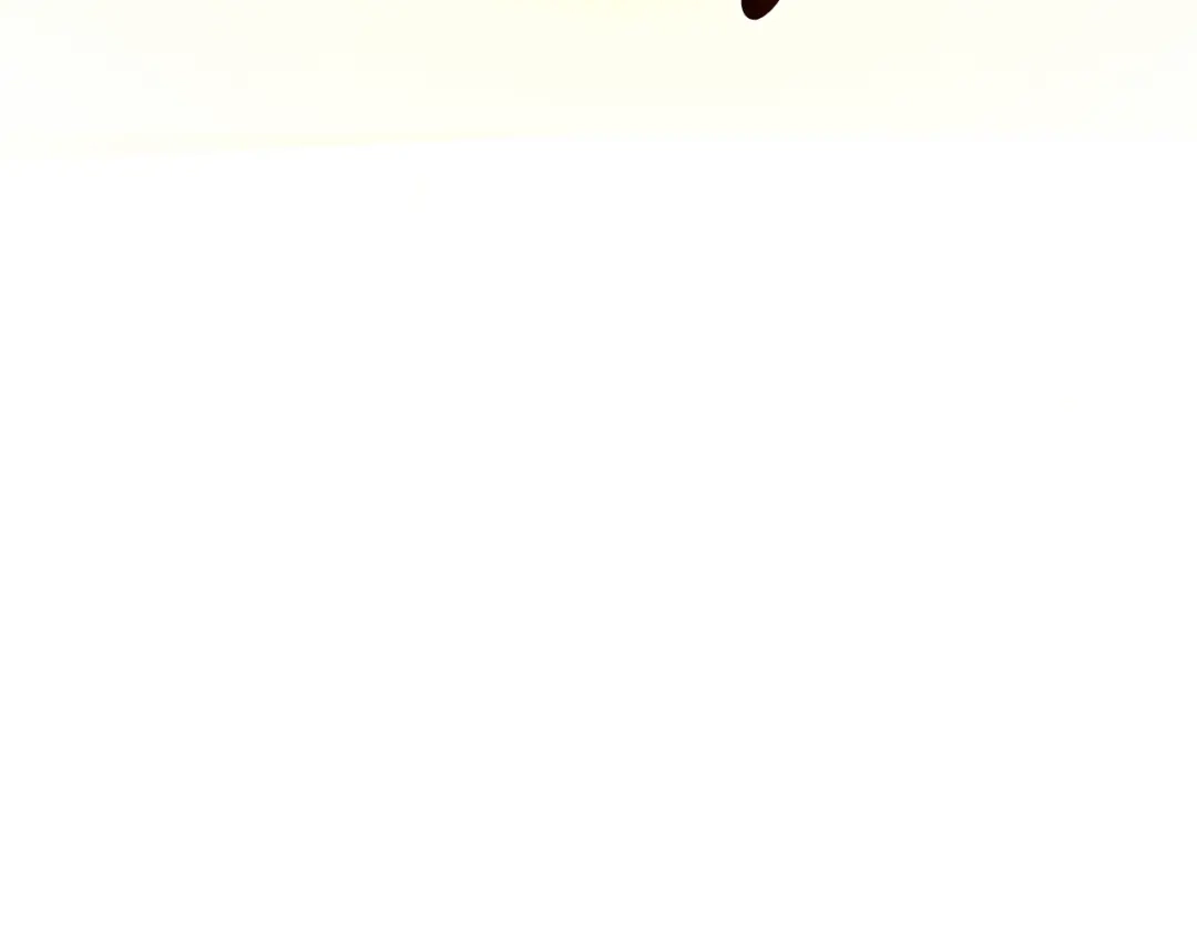 第211页