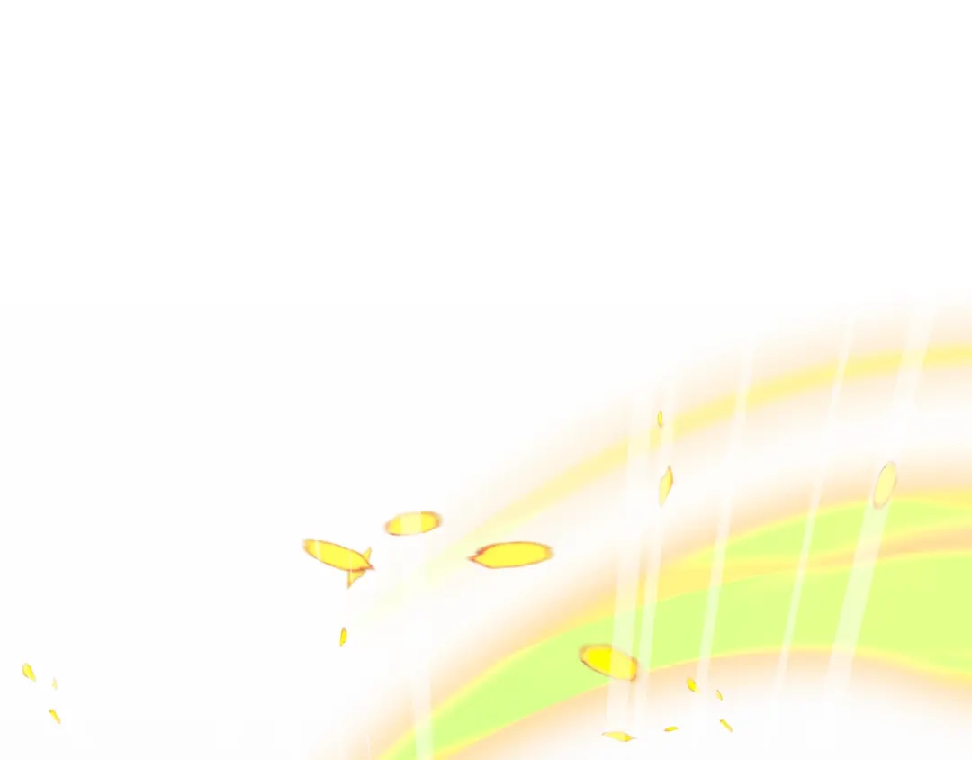 第213页