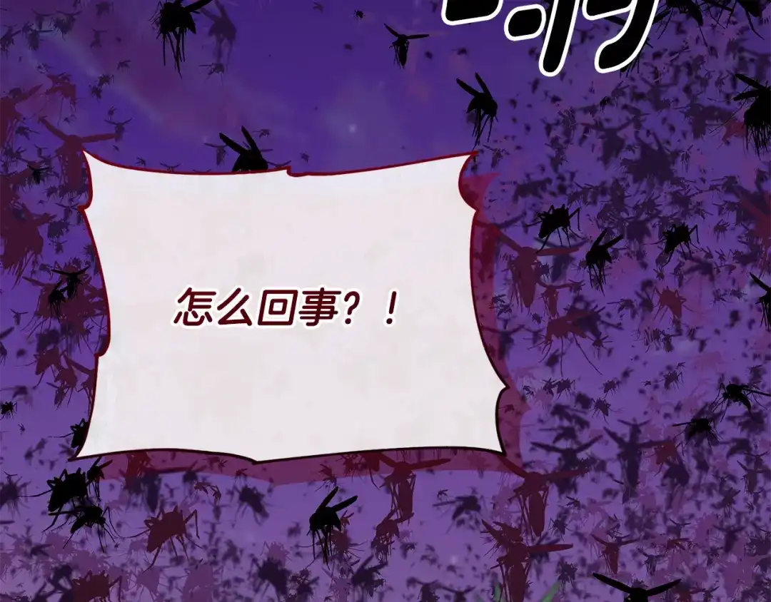第251页