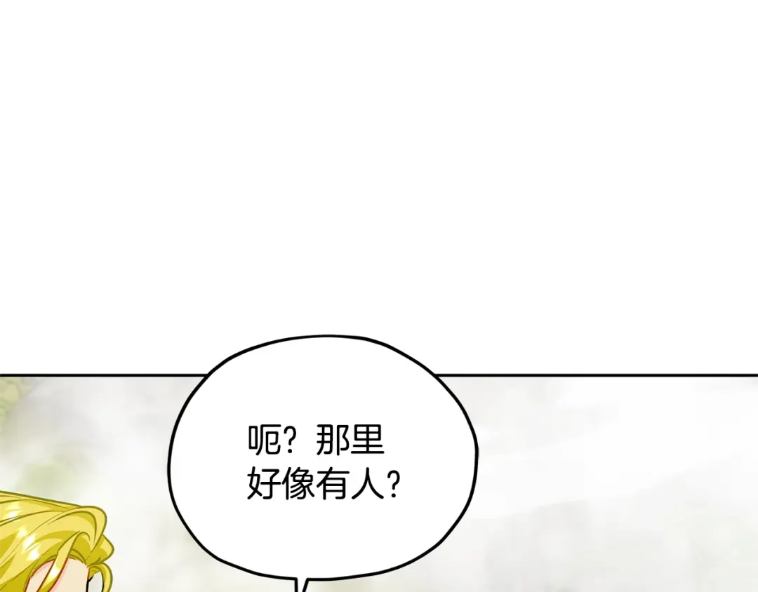 第223页