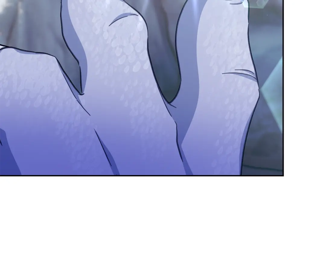 第240页