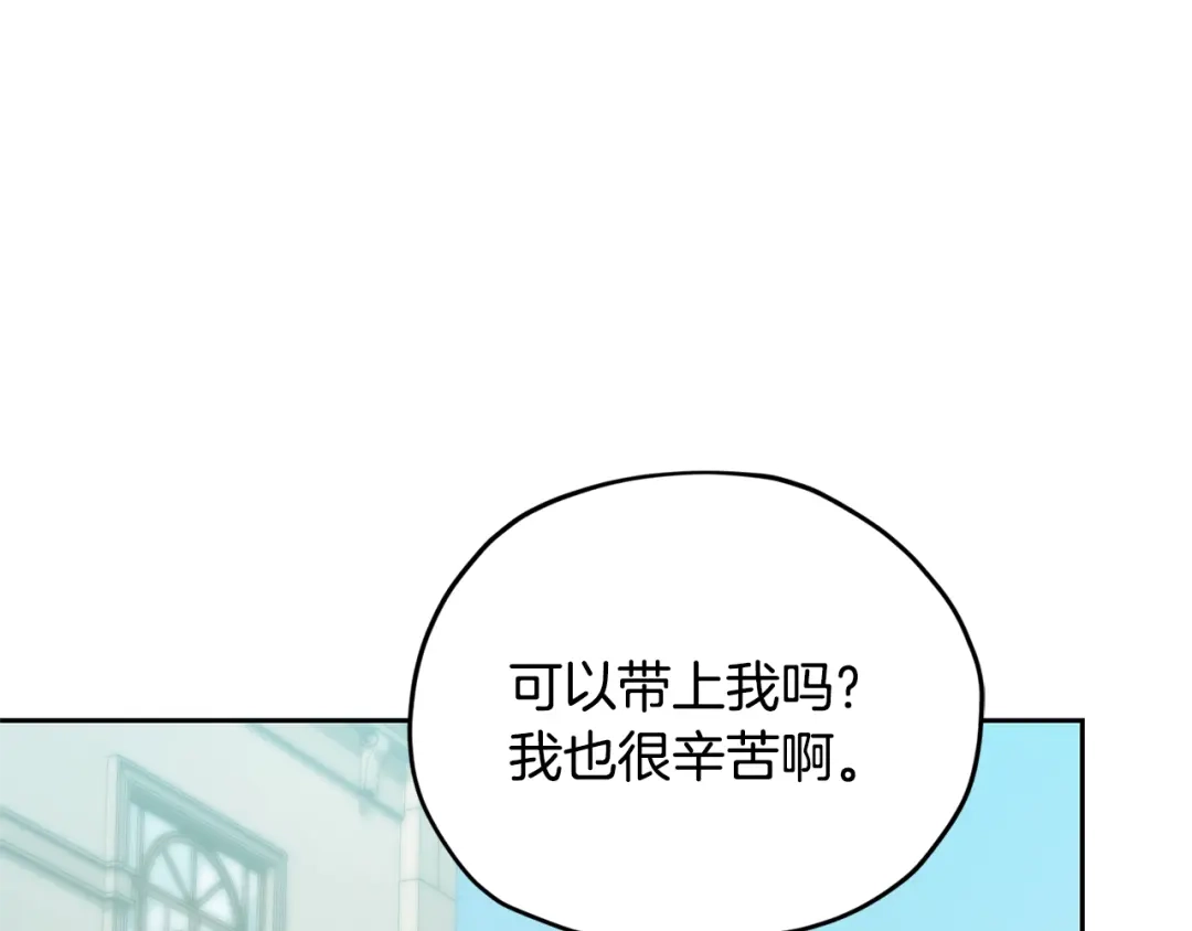 第243页