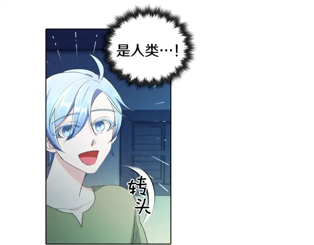 第204页