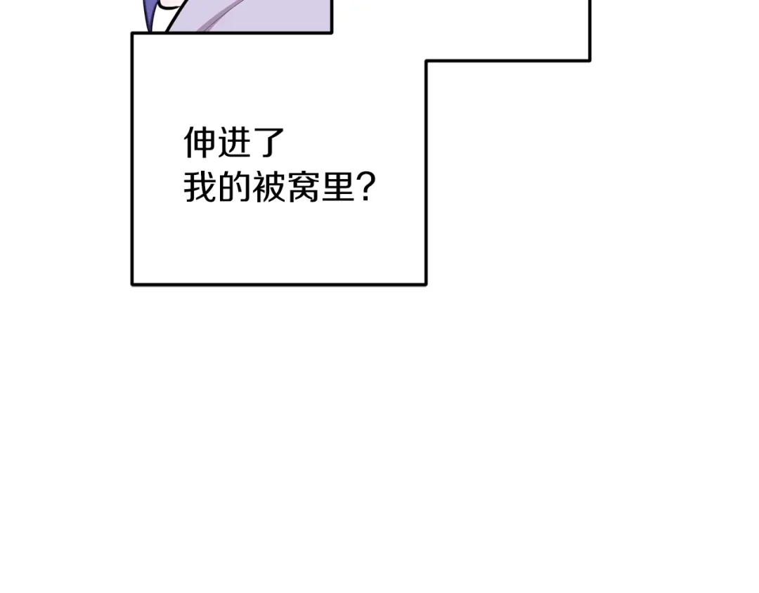 第206页