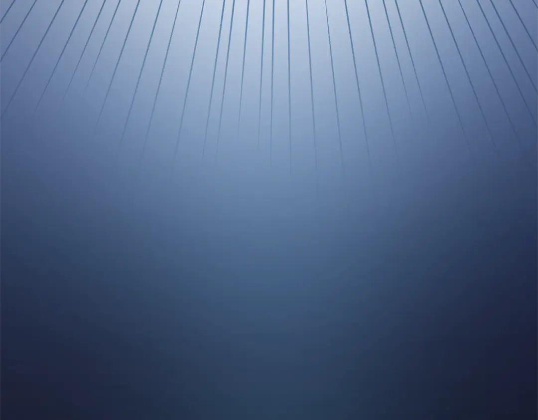 第231页