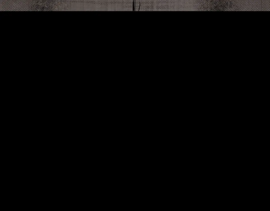 第333页