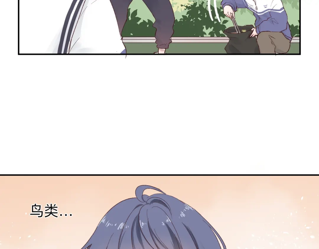 第239页