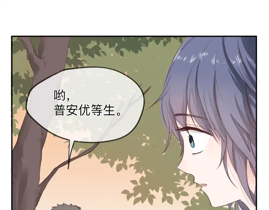 第241页
