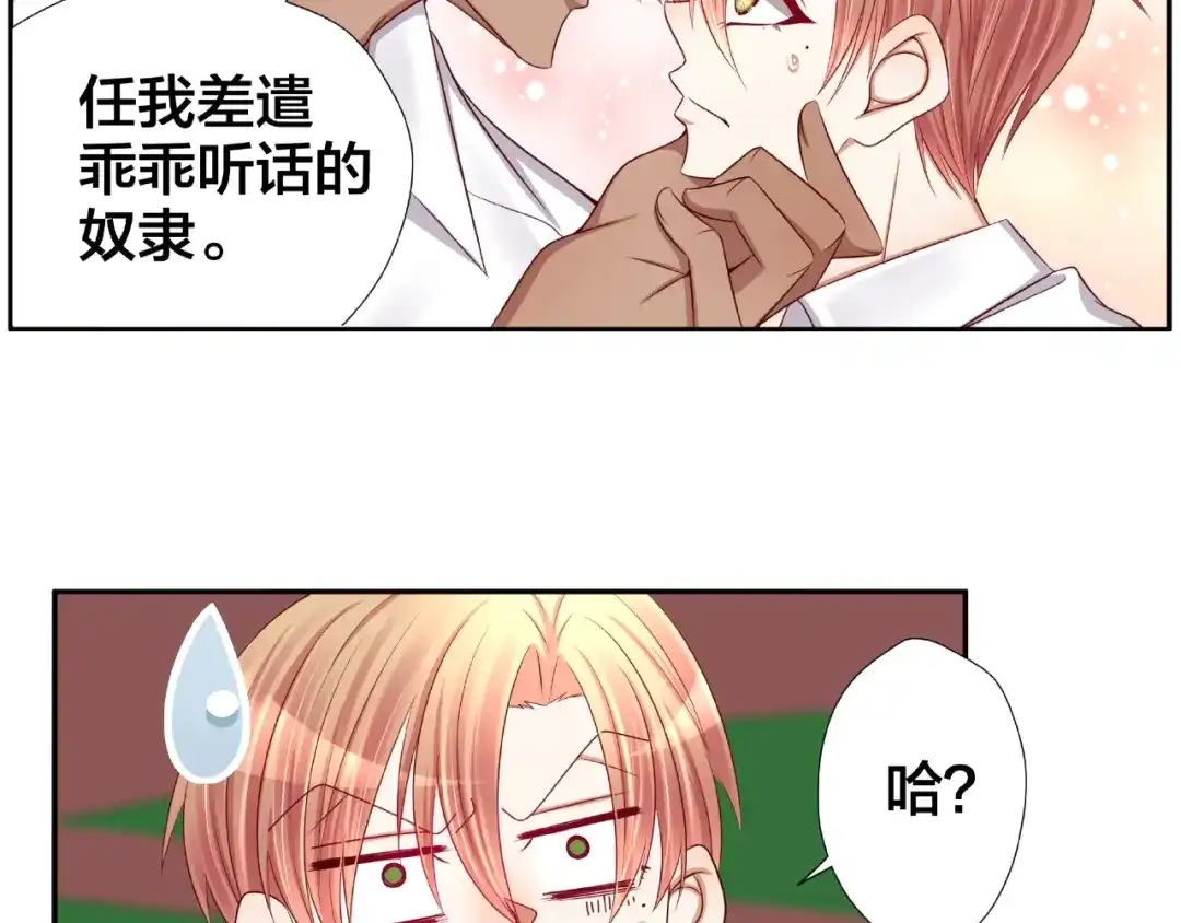 第256页
