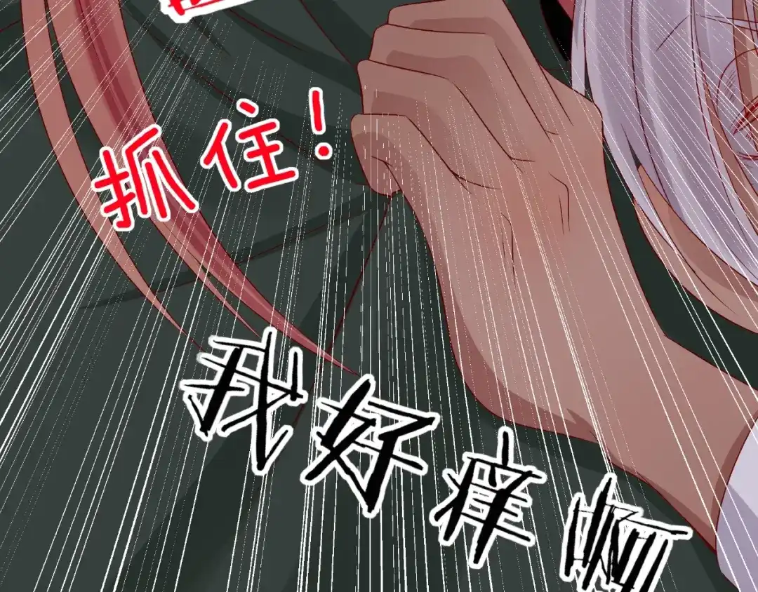 第206页
