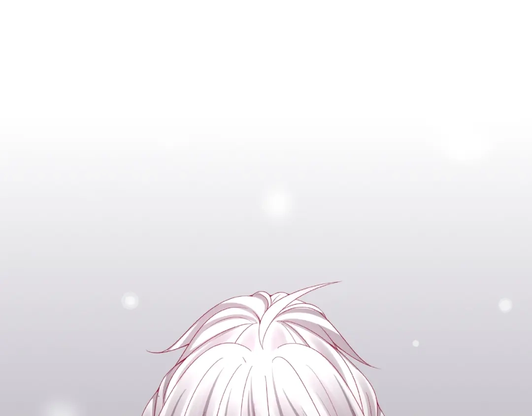 第217页