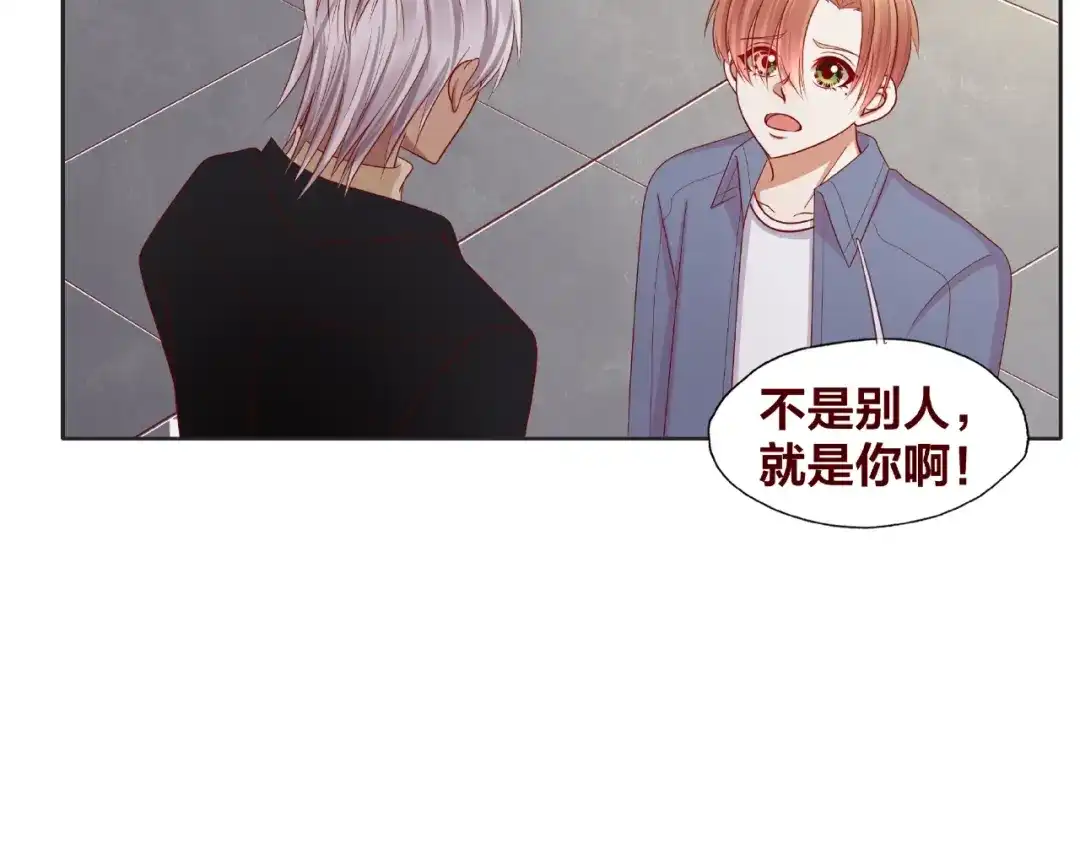 第262页