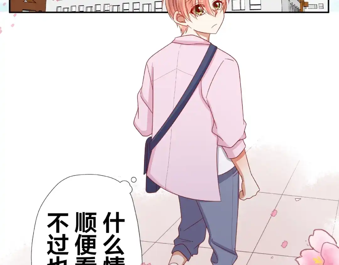 第217页