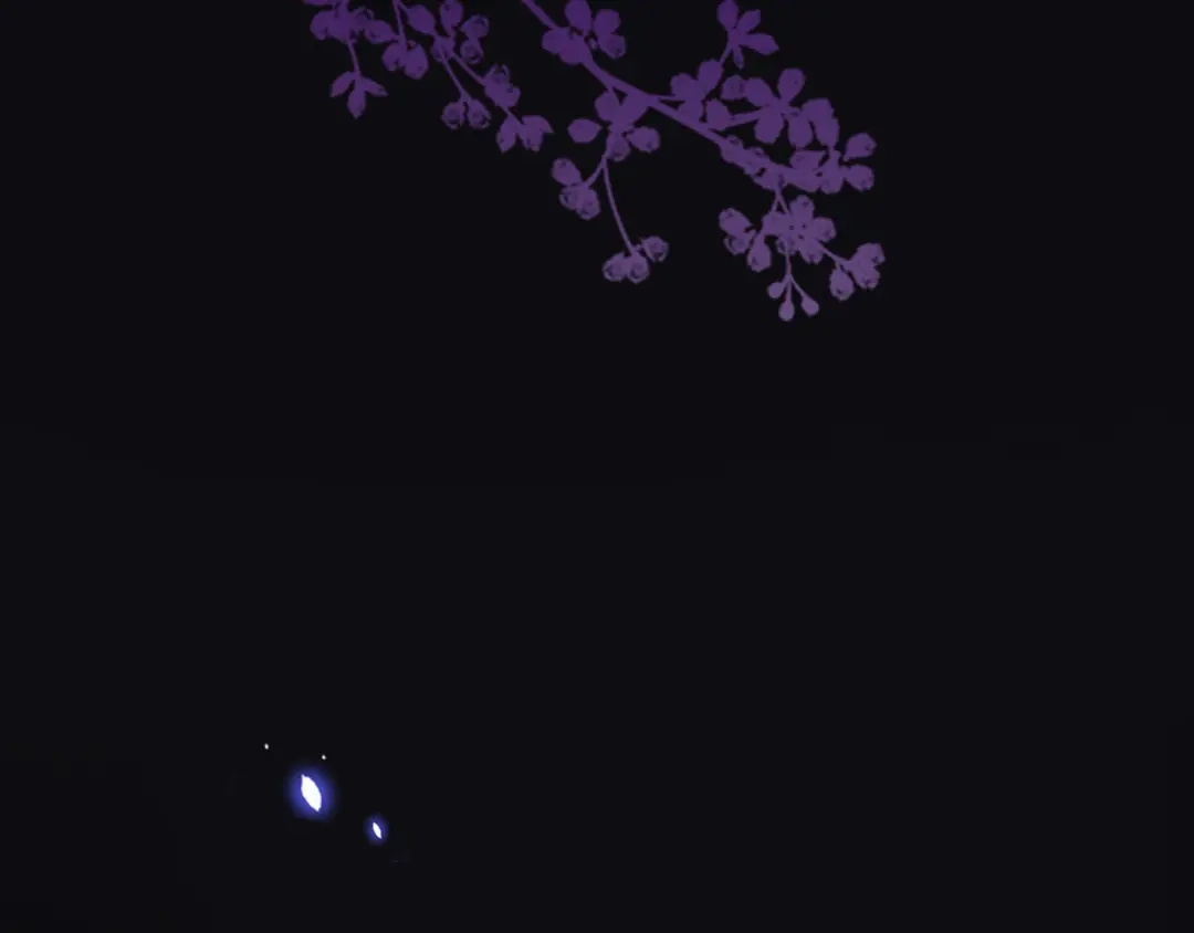 第56页