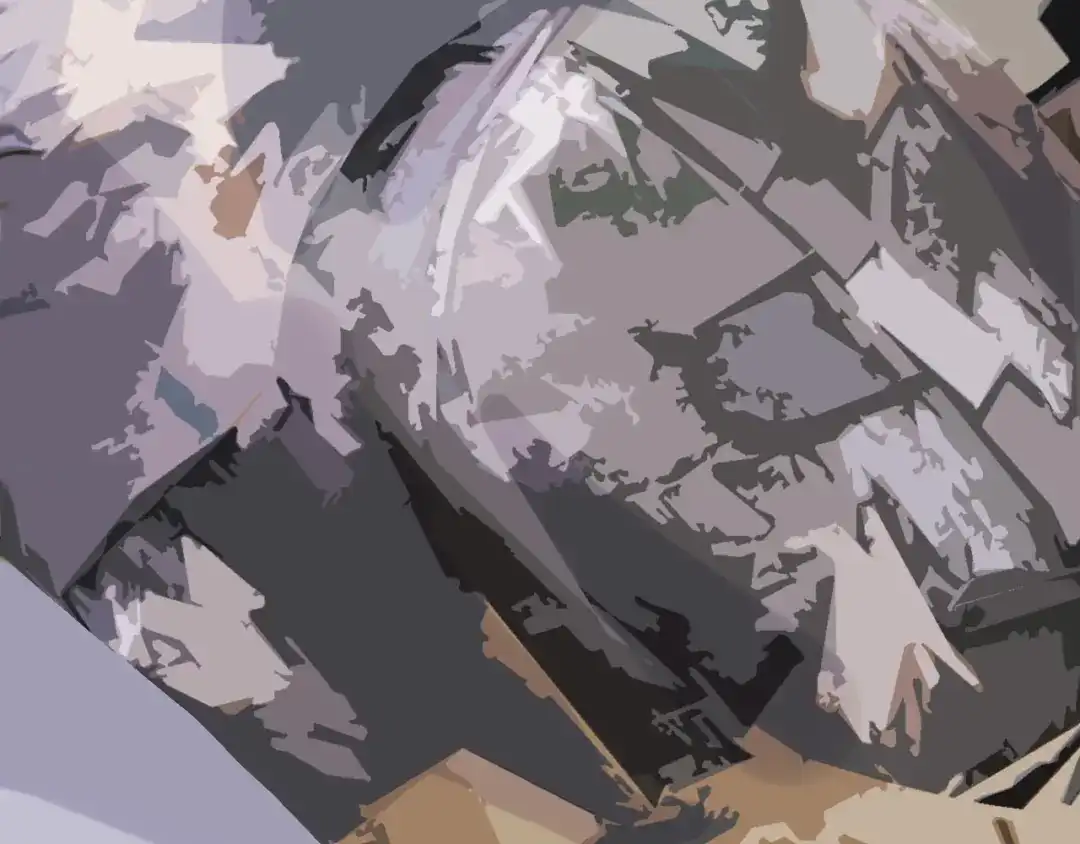 第43页