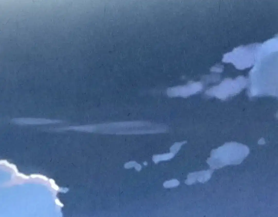 第151页