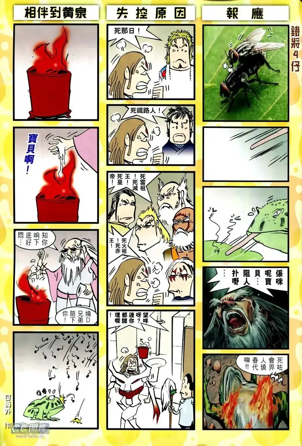 第31页